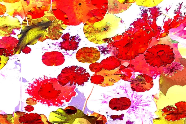 Nilüfer yaprakları, zarif arkaplan deseni