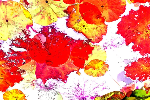 Nilüfer yaprakları, zarif arkaplan deseni