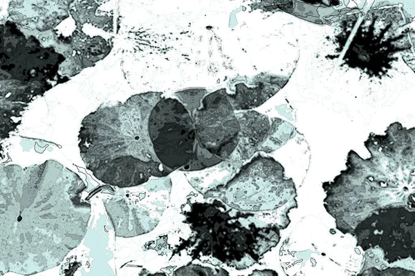 Nilüfer yaprakları, zarif arkaplan deseni