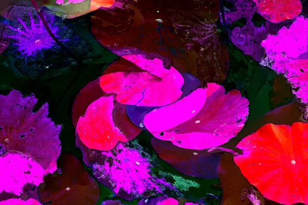 Nilüfer yaprakları, zarif arkaplan deseni