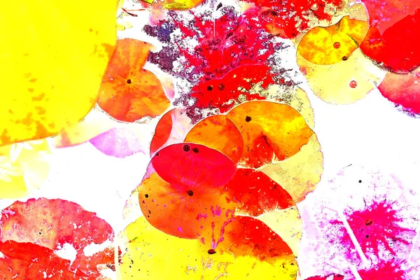 Nilüfer yaprakları, zarif arkaplan deseni