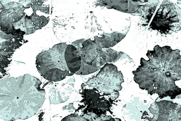 Nilüfer yaprakları, zarif arkaplan deseni