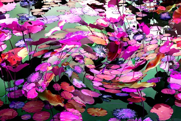 Nilüfer yaprakları, zarif arkaplan deseni