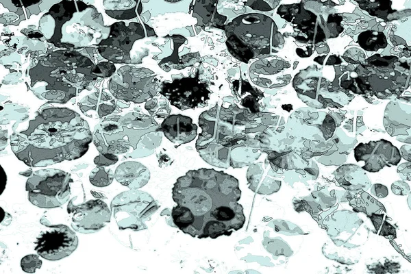 Nilüfer yaprakları, zarif arkaplan deseni