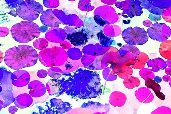 Nilüfer yaprakları, zarif arkaplan deseni