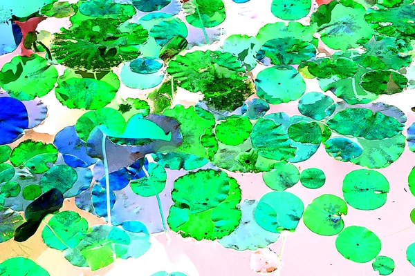 Nilüfer yaprakları, zarif arkaplan deseni