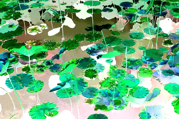 Nilüfer yaprakları, zarif arkaplan deseni