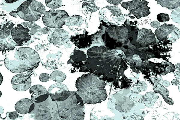 Nilüfer yaprakları, zarif arkaplan deseni