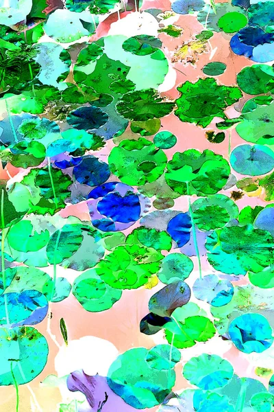 Nilüfer yaprakları, zarif arkaplan deseni