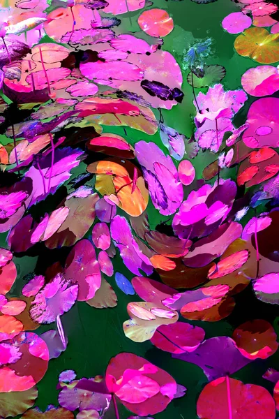 Nilüfer yaprakları, zarif arkaplan deseni