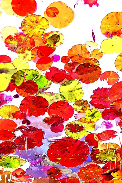 Nilüfer yaprakları, zarif arkaplan deseni