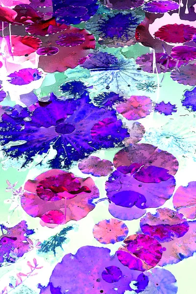 Nilüfer yaprakları, zarif arkaplan deseni