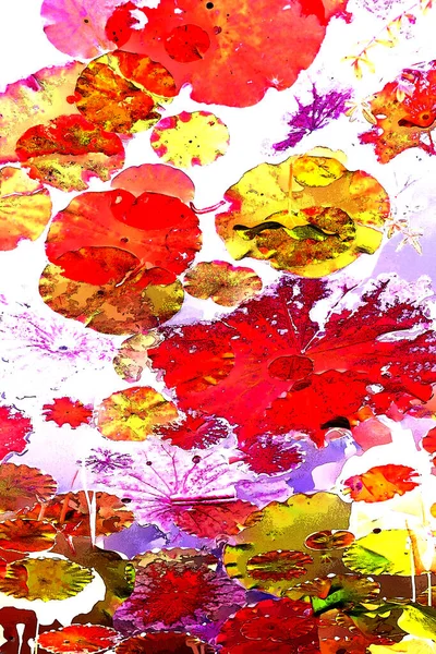 Nilüfer yaprakları, zarif arkaplan deseni