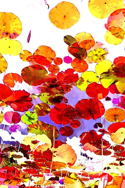 Nilüfer yaprakları, zarif arkaplan deseni