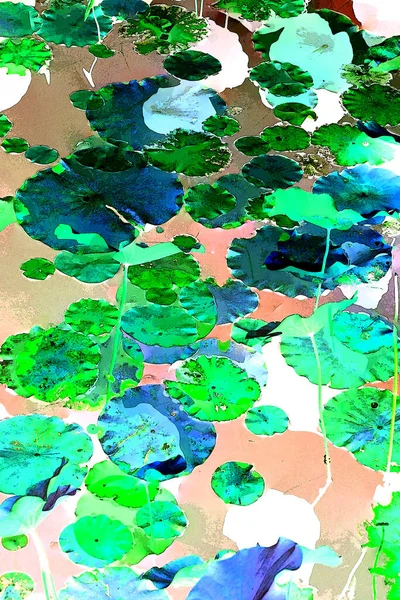 Nilüfer yaprakları, zarif arkaplan deseni