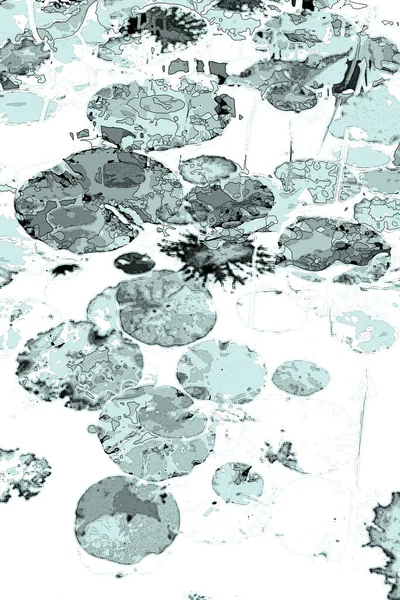 Nilüfer yaprakları, zarif arkaplan deseni