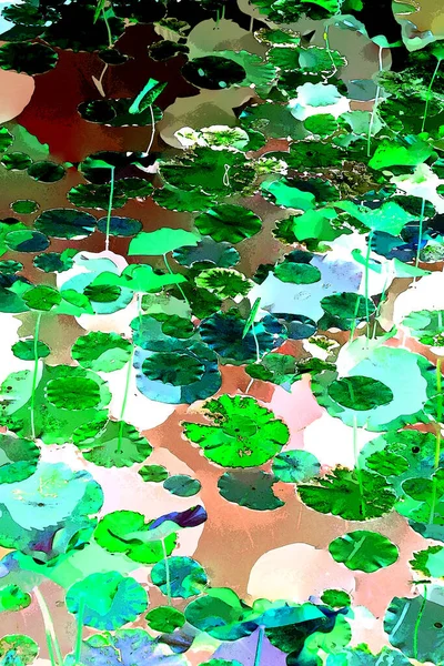 Nilüfer yaprakları, zarif arkaplan deseni