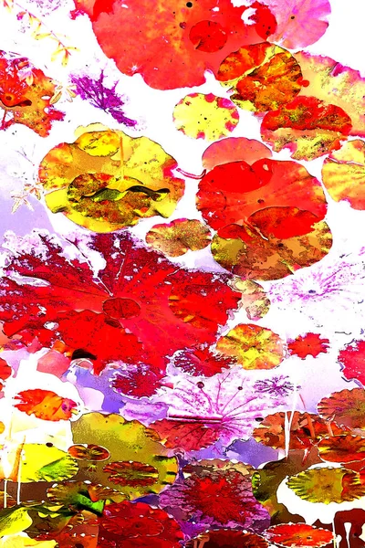 Nilüfer yaprakları, zarif arkaplan deseni