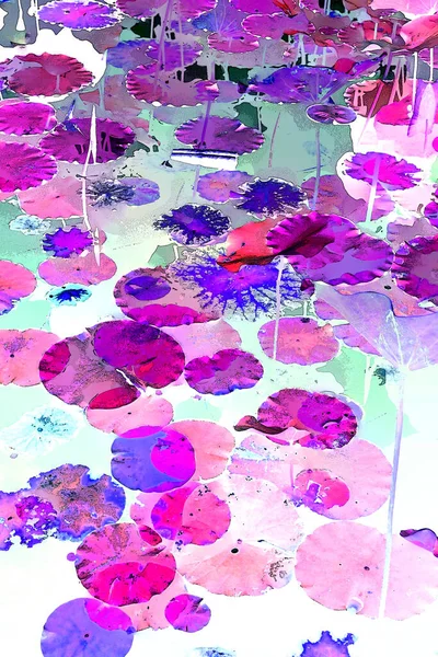 Nilüfer yaprakları, zarif arkaplan deseni