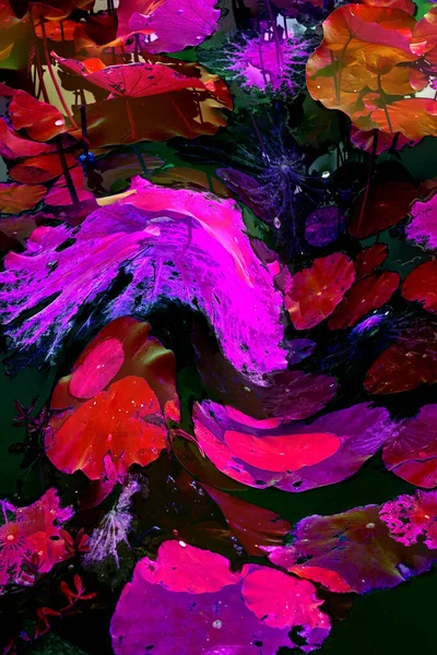 Nilüfer yaprakları, zarif arkaplan deseni