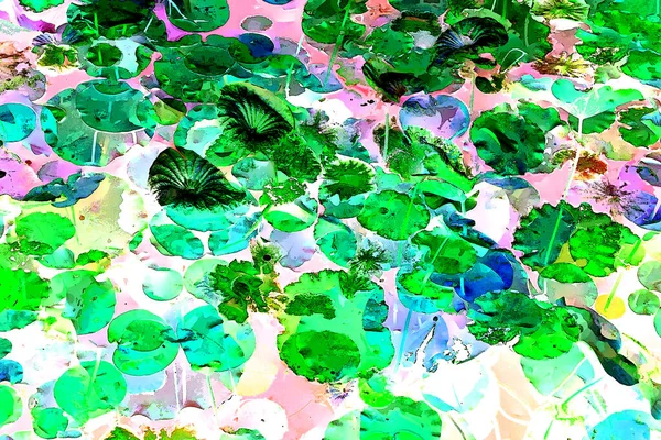 Nilüfer yaprakları, zarif arkaplan deseni