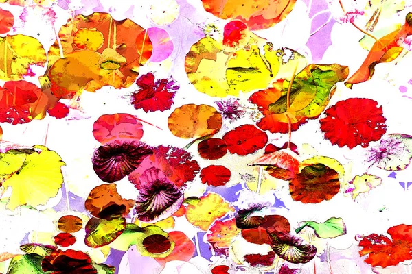 Nilüfer yaprakları, zarif arkaplan deseni