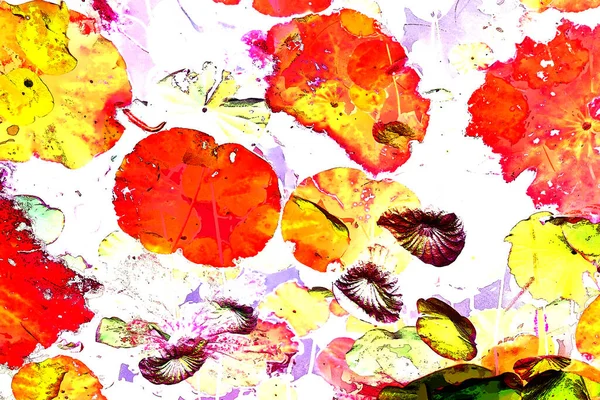 Nilüfer yaprakları, zarif arkaplan deseni