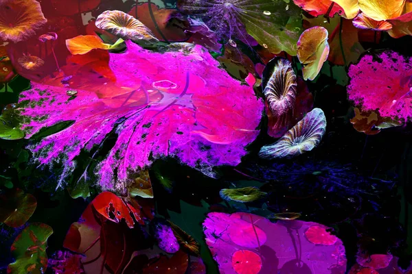 Nilüfer yaprakları, zarif arkaplan deseni