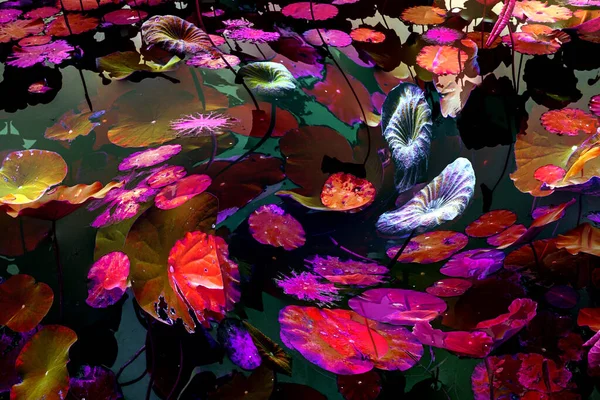 Nilüfer yaprakları, zarif arkaplan deseni