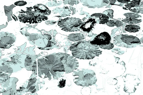 Nilüfer yaprakları, zarif arkaplan deseni