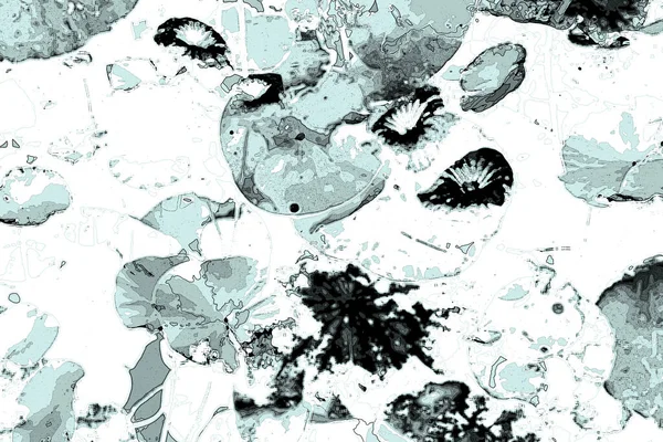 Nilüfer yaprakları, zarif arkaplan deseni