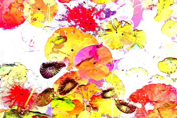 Nilüfer yaprakları, zarif arkaplan deseni