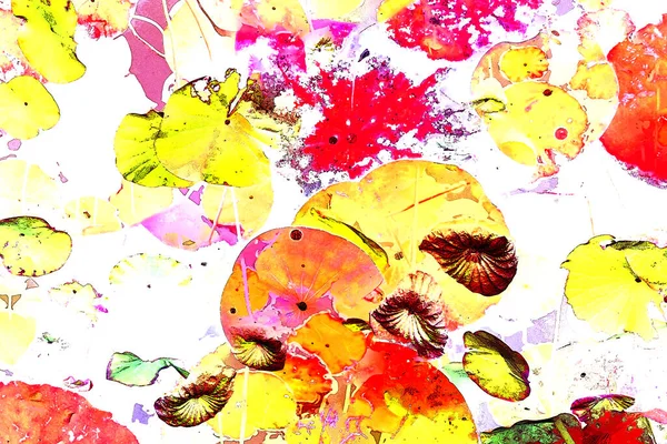 Nilüfer yaprakları, zarif arkaplan deseni