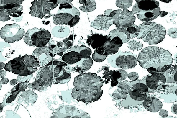 Nilüfer yaprakları, zarif arkaplan deseni