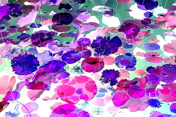 Nilüfer yaprakları, zarif arkaplan deseni