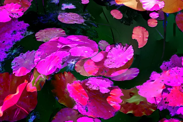 Clustered Lotus Leaves Elegant Background Pattern — Fotografia de Stock