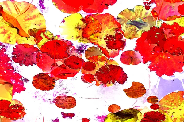 Nilüfer yaprakları, zarif arkaplan deseni