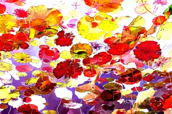 Nilüfer yaprakları, zarif arkaplan deseni