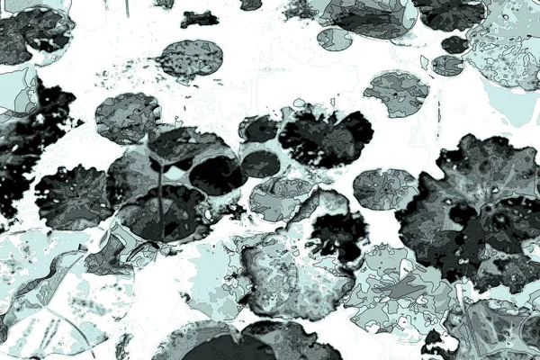 Nilüfer yaprakları, zarif arkaplan deseni