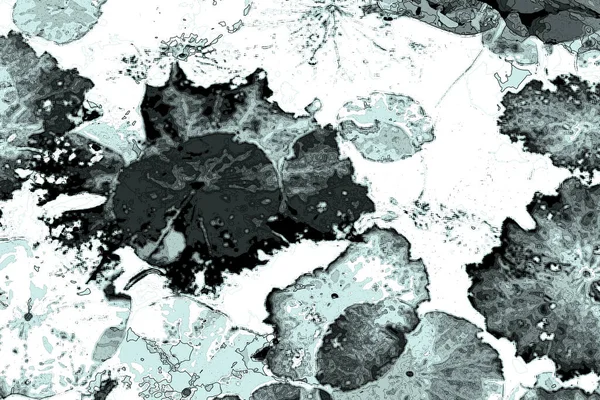 Nilüfer yaprakları, zarif arkaplan deseni