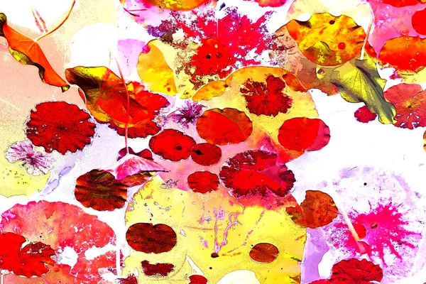 Nilüfer yaprakları, zarif arkaplan deseni