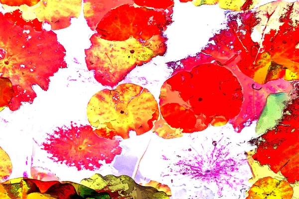 Nilüfer yaprakları, zarif arkaplan deseni