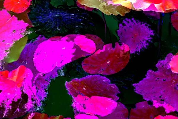 Nilüfer yaprakları, zarif arkaplan deseni