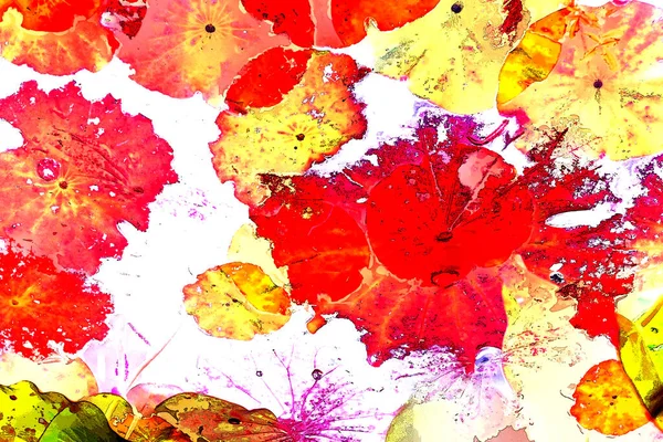 Nilüfer yaprakları, zarif arkaplan deseni