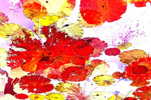 Nilüfer yaprakları, zarif arkaplan deseni