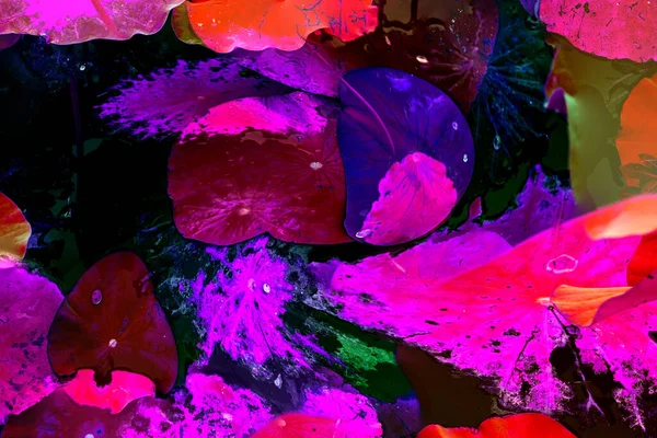 Nilüfer yaprakları, zarif arkaplan deseni