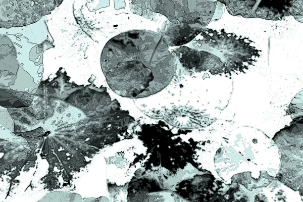 Nilüfer yaprakları, zarif arkaplan deseni