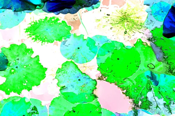 Nilüfer yaprakları, zarif arkaplan deseni