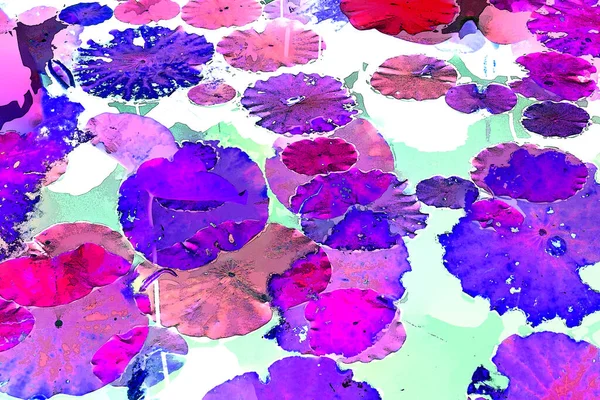 Nilüfer yaprakları, zarif arkaplan deseni