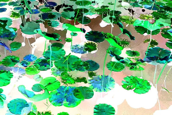 Nilüfer yaprakları, zarif arkaplan deseni